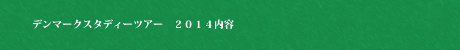 デンマークスタディーツアー２０１４　内容