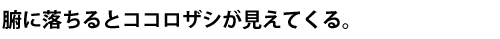 腑に落ちるとココロザシが見えてくる。